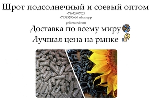 Шрот подсолнечный и соевый оптом от производителя ГК Юг Руси