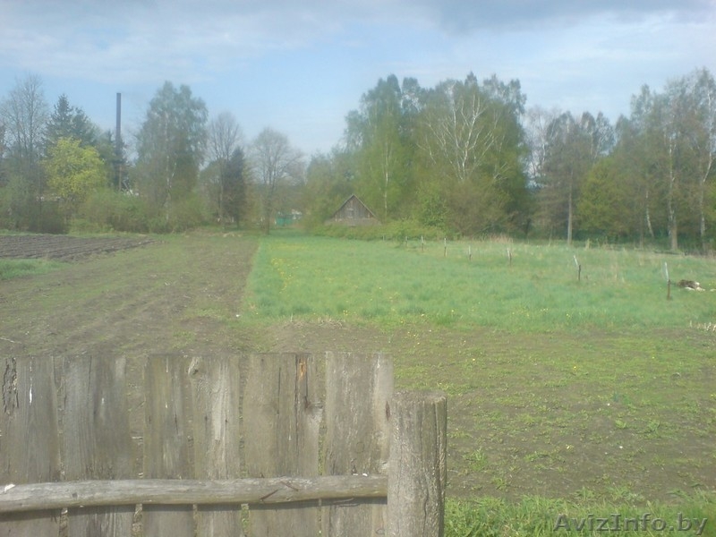 Продажа дома в гп Ружаны Беларусь - Изображение #7, Объявление #206608