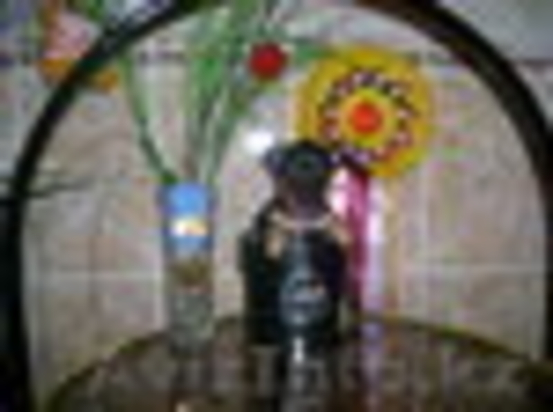 Продаётся Той-терьера щенки, девочка - Изображение #2, Объявление #2281