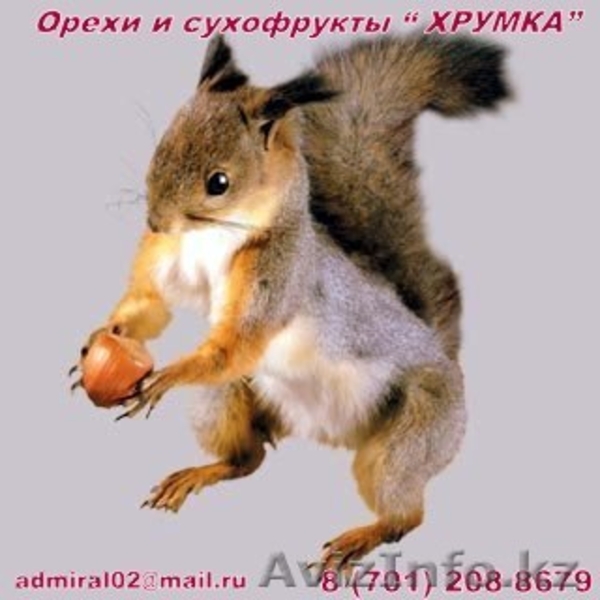 Орехи и сухофрукты \"Хрумка\" - Изображение #1, Объявление #25867