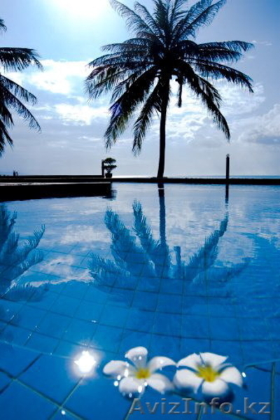 Туристская компания "Al Bayan Travel" - Изображение #1, Объявление #33532