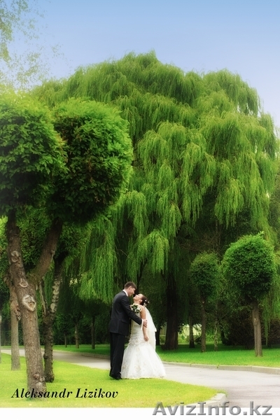 Фото услуги,торжества,дни рождения,детская фотосъёмка,изготовление фотокниг - Изображение #2, Объявление #42345