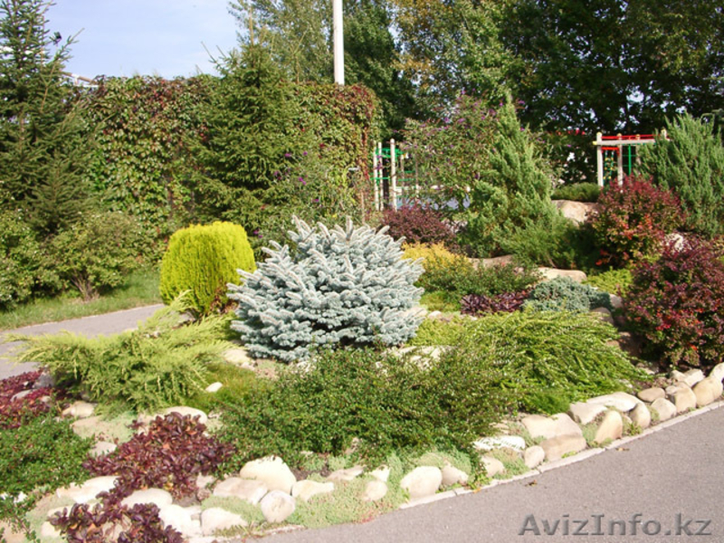 Озеленение и Благоустройство.  - Изображение #5, Объявление #59140