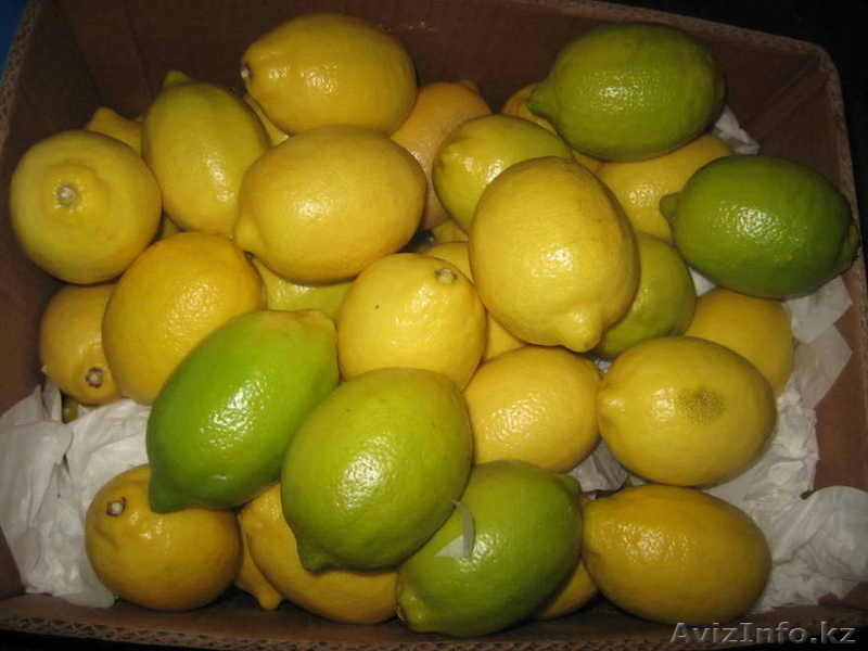фрукты для оптовиков - Изображение #3, Объявление #59208