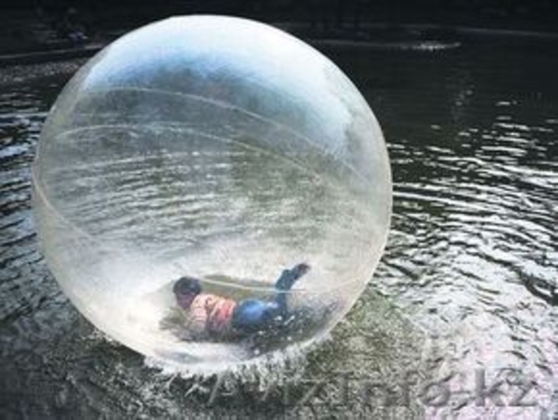 Водный шар (зорб), шар для хождения по воде - Изображение #1, Объявление #65195