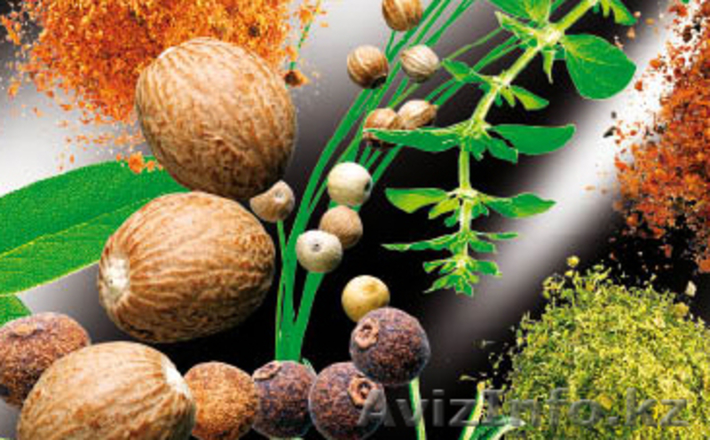 пищевые добавки ПАКОВИС - Изображение #3, Объявление #65716