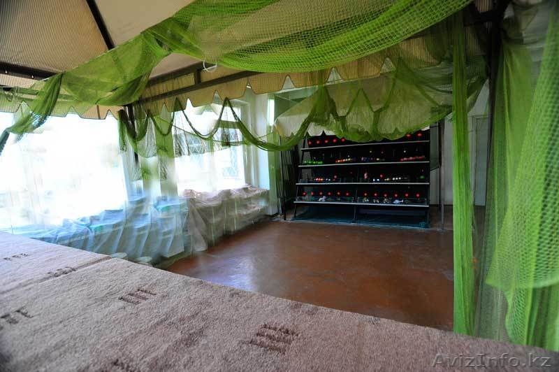 Пейнтбольный тир - Изображение #2, Объявление #84075