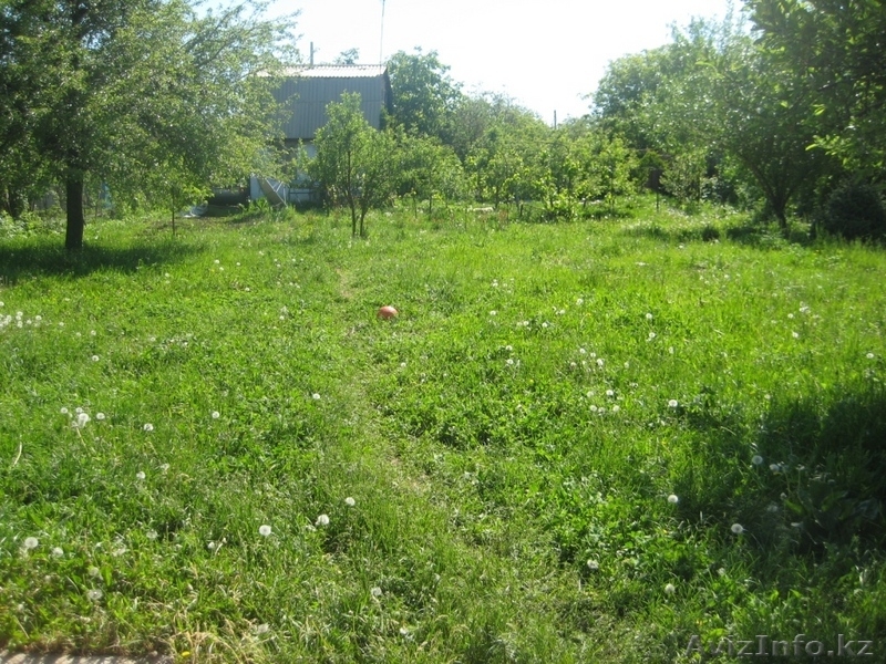 727 2201681 вечером, 7017337763 в любое время - Изображение #1, Объявление #76865