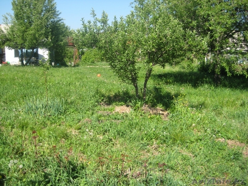 727 2201681 вечером, 7017337763 в любое время - Изображение #3, Объявление #76865