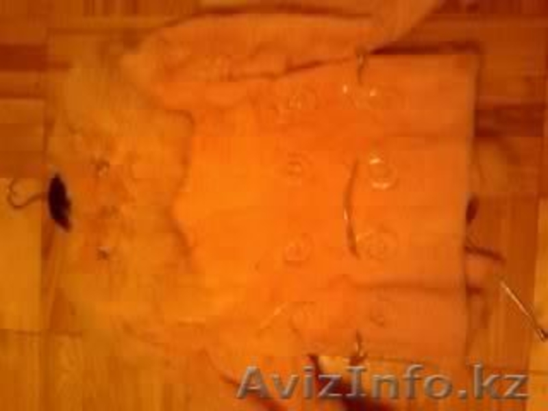 Илкибавеа Толкынай Сейтбаевна - Изображение #5, Объявление #78996