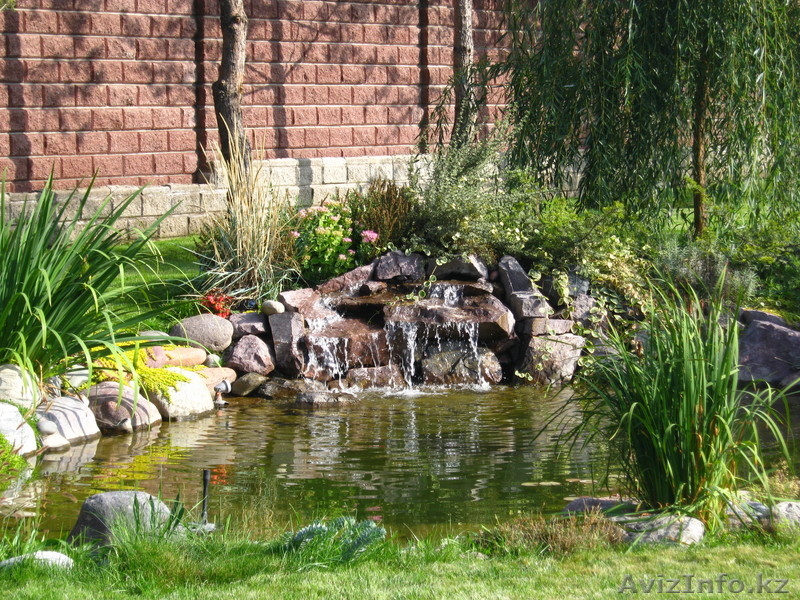 Озеленение, ландшафтный дизайн - Изображение #1, Объявление #101949