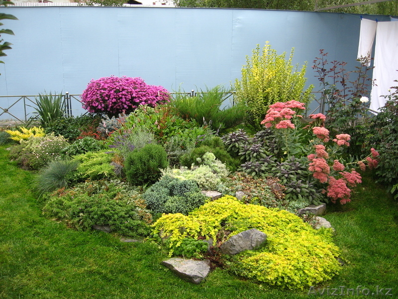 Озеленение, ландшафтный дизайн - Изображение #4, Объявление #101949