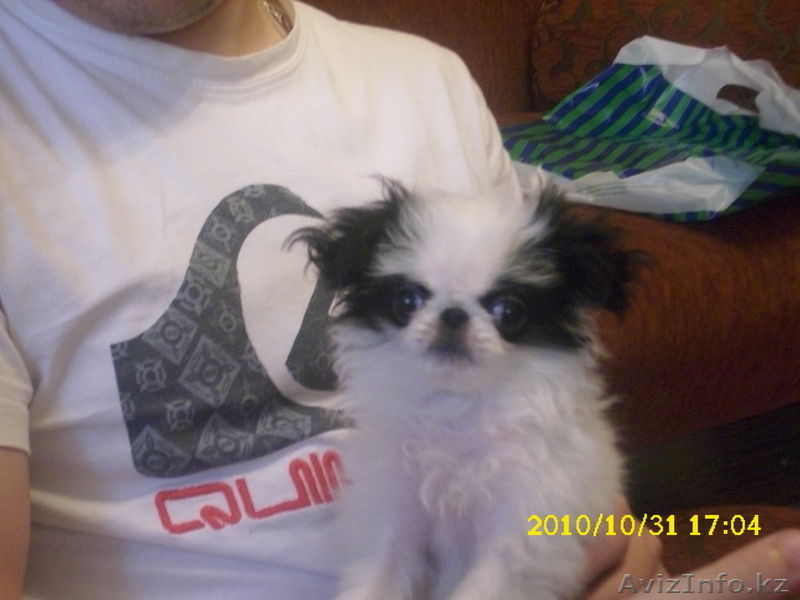 Светлана 221-71-38 8-701-758-68-18 - Изображение #3, Объявление #115231