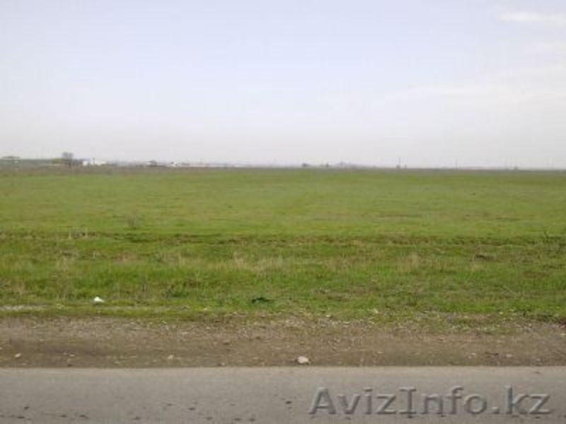 В СВЯЗИ С ПЕРЕЕЗДОМ !СРОЧНО ПРОДАМ УЧАСТОК К\Х 24 СОТОК! В Р-Н ПИВНОГО ЗАВОДА Ef - Изображение #2, Объявление #102799