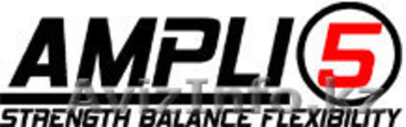 Ampli-5 ищет бизнес партнеров по реализации в РК - Изображение #4, Объявление #122280