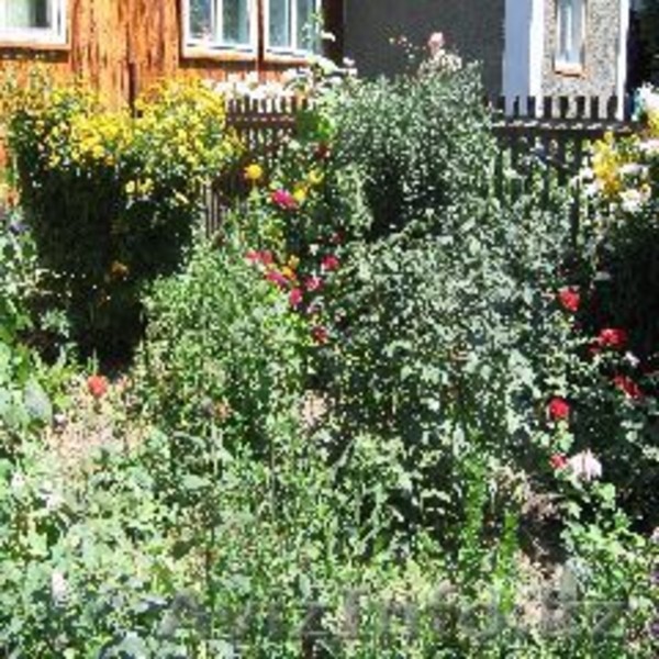 Участок 22 сотки в предгорьях Алматы - Изображение #5, Объявление #120123