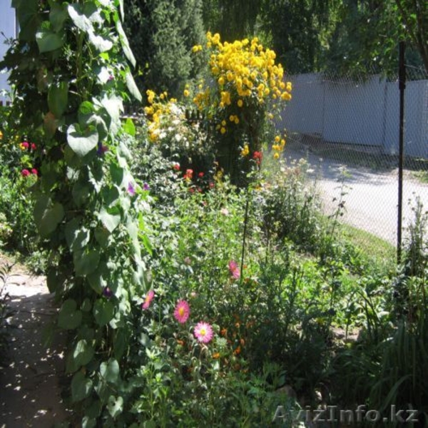 Участок 22 сотки в предгорьях Алматы - Изображение #4, Объявление #120123