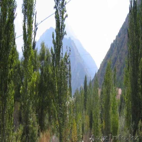 Участок 22 сотки в предгорьях Алматы - Изображение #2, Объявление #120123