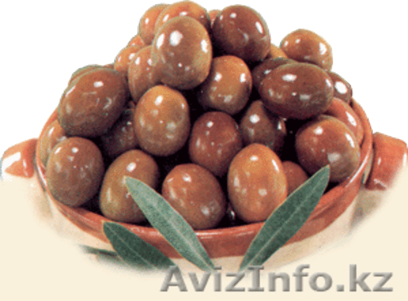 ТОО GoldenOlive - Изображение #2, Объявление #130965