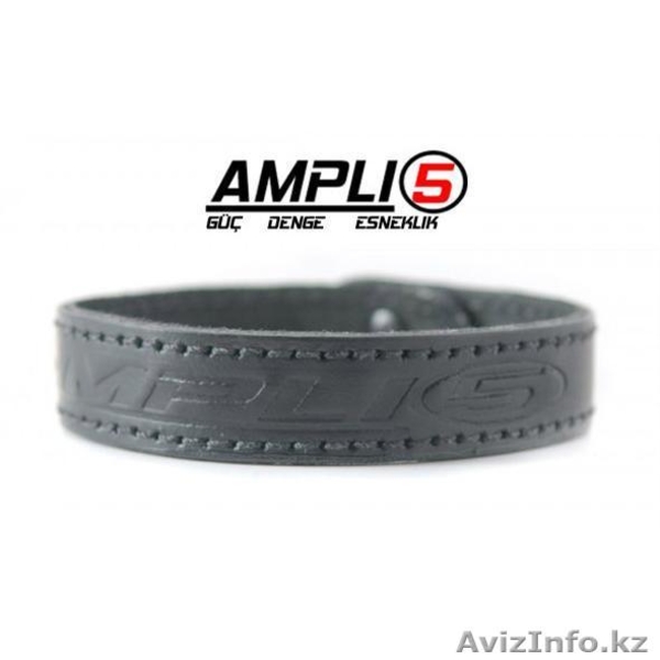 Ampli-5 ищет бизнес партнеров по реализации в РК - Изображение #5, Объявление #122280