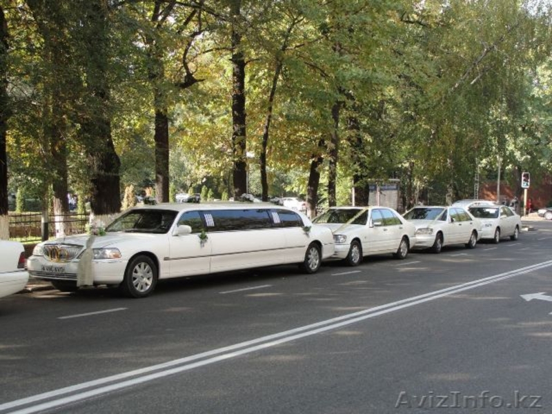 Прокат и аренда Мерседесов S-класса с водителем. - Изображение #3, Объявление #154770