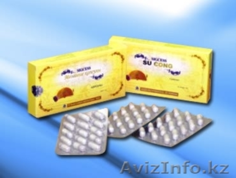  КОРПОРАЦИЯ SIGCESS - Изображение #5, Объявление #143700