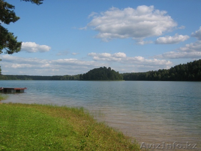 Уникальный участок на берегу озера  Асвея - Изображение #6, Объявление #180495