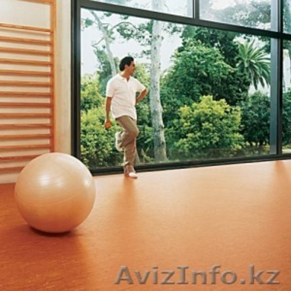 ТОО A-Sport Kazakhstan - Изображение #3, Объявление #167345