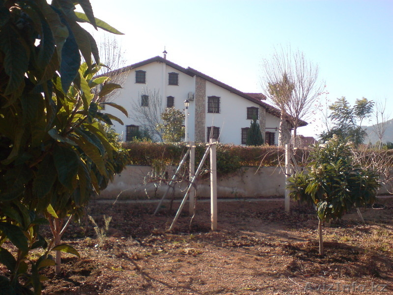 Antalya ялчын шериф enesserefyalcin@hotmail.com +905079585006 - Изображение #3, Объявление #172040