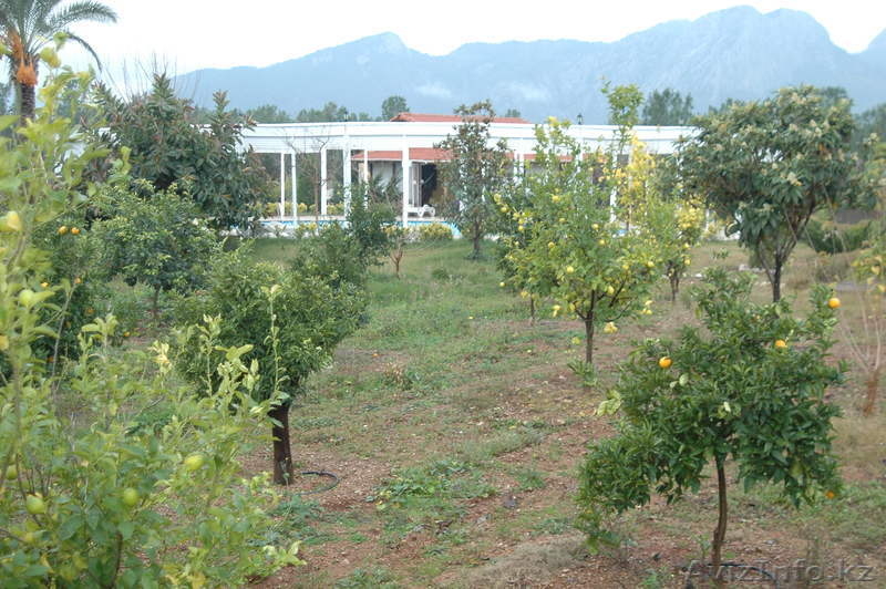 Antalya ялчын шериф enesserefyalcin@hotmail.com +905079585006 - Изображение #7, Объявление #172040