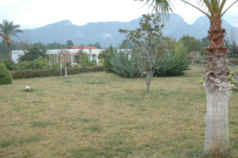 Antalya ялчын шериф enesserefyalcin@hotmail.com +905079585006 - Изображение #10, Объявление #172040