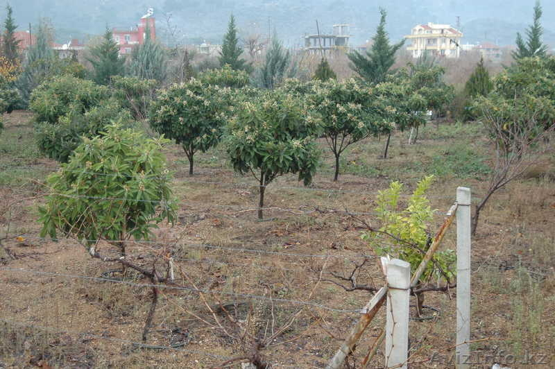 Antalya ялчын шериф enesserefyalcin@hotmail.com +905079585006 - Изображение #8, Объявление #172040