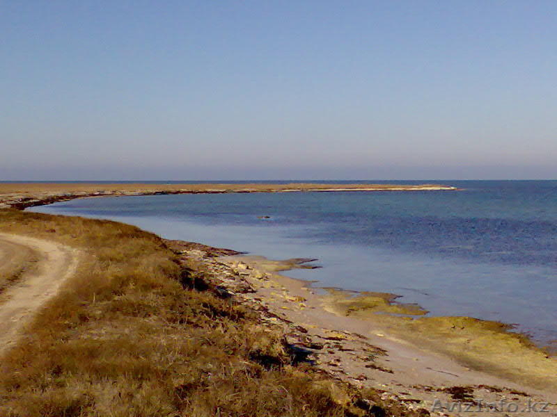 21 ГЕКТАР У МОРЯ ! ПРОДАМ КРЫМ  пгт ЧЕРНОМОРСКОЕ. - Изображение #4, Объявление #163255