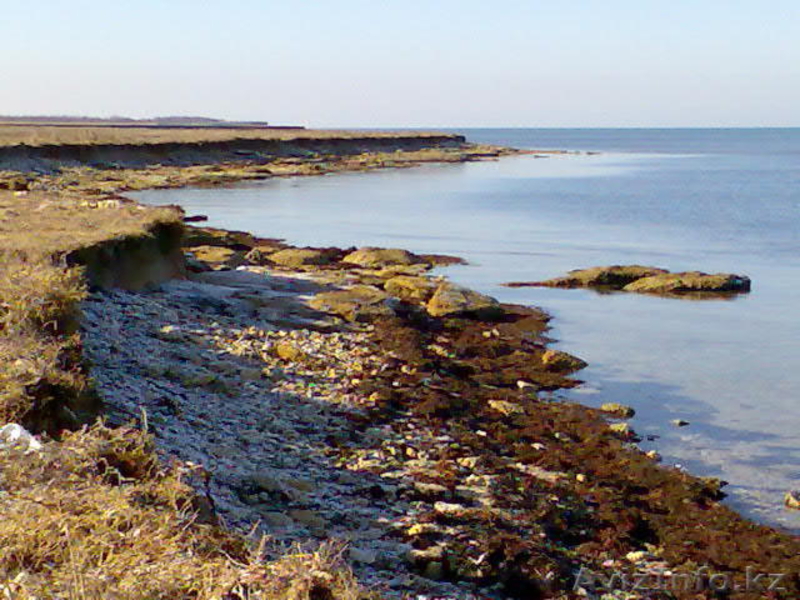 21 ГЕКТАР У МОРЯ ! ПРОДАМ КРЫМ  пгт ЧЕРНОМОРСКОЕ. - Изображение #5, Объявление #163255