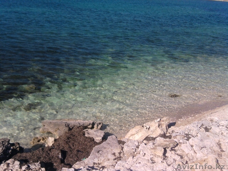 21 ГЕКТАР У МОРЯ ! ПРОДАМ КРЫМ  пгт ЧЕРНОМОРСКОЕ. - Изображение #8, Объявление #163255