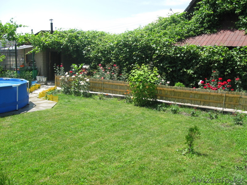 Продам дачу р-н Иссык, 41-й км Кульжинской трассы - Изображение #4, Объявление #168871