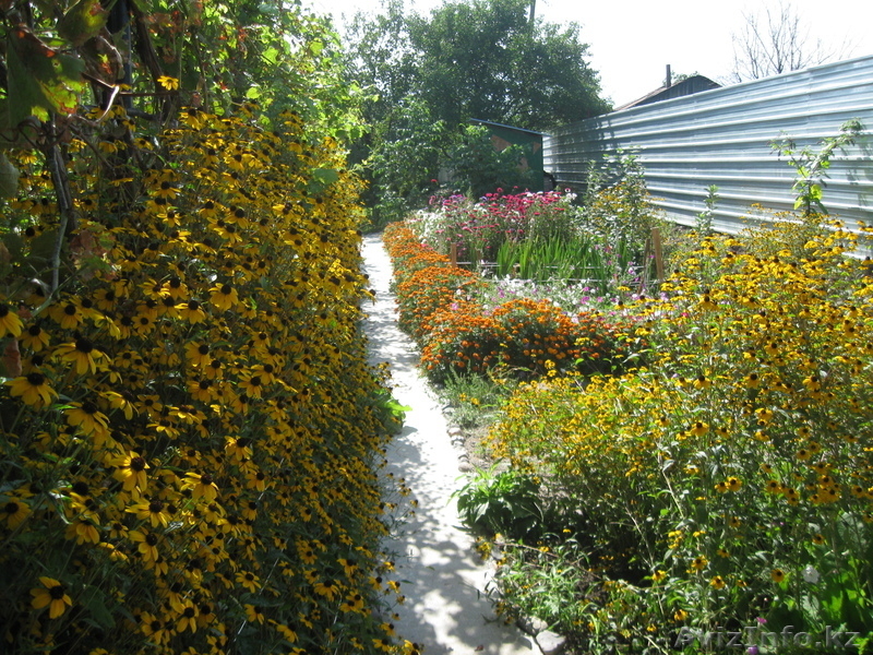 Продам дачу р-н Иссык, 41-й км Кульжинской трассы - Изображение #6, Объявление #168871