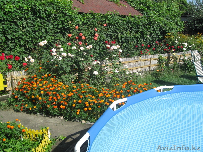 Продам дачу р-н Иссык, 41-й км Кульжинской трассы - Изображение #7, Объявление #168871