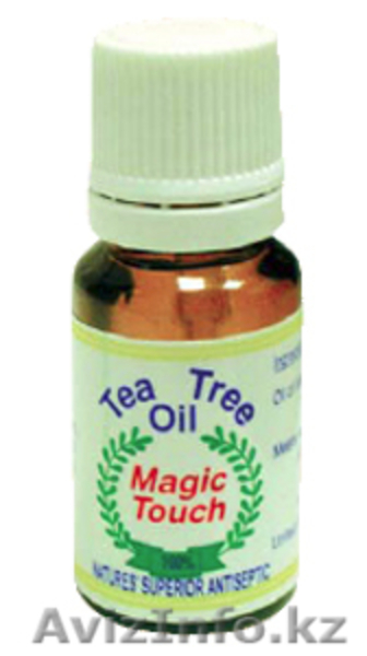 <H1>корпорация “Мир красоты”, ЗЛАТА ПАЛЬМА</H1> - Изображение #3, Объявление #126575