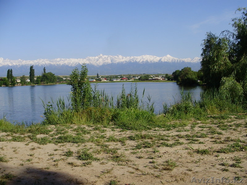 Летнее кафе на озере, в городе Алматы - Изображение #3, Объявление #168825