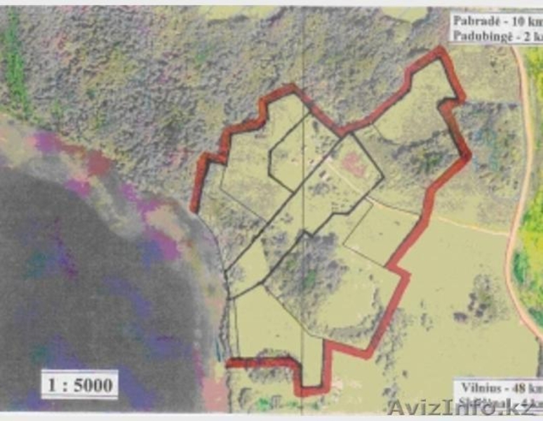 Уникальный участок на берегу озера  Асвея - Изображение #10, Объявление #180495