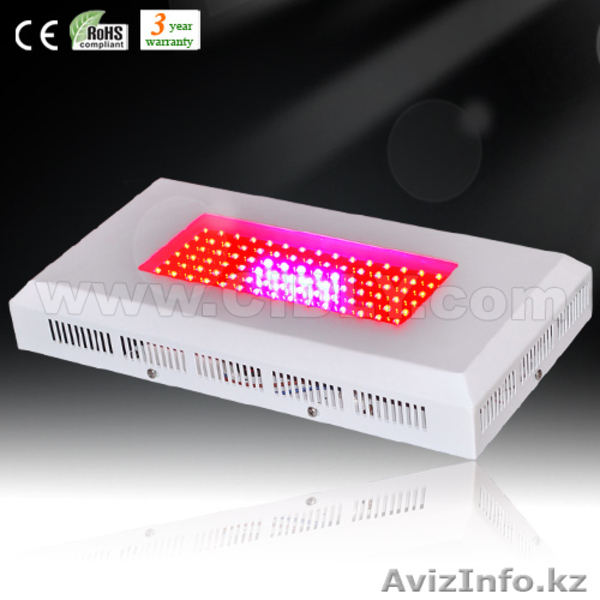 освещение для вегетация растений - Изображение #4, Объявление #203458