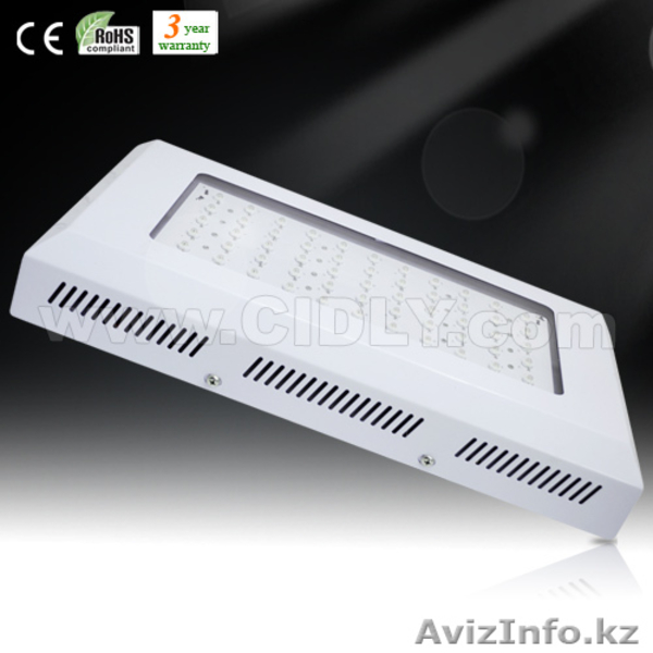 освещение для вегетация растений - Изображение #3, Объявление #203458