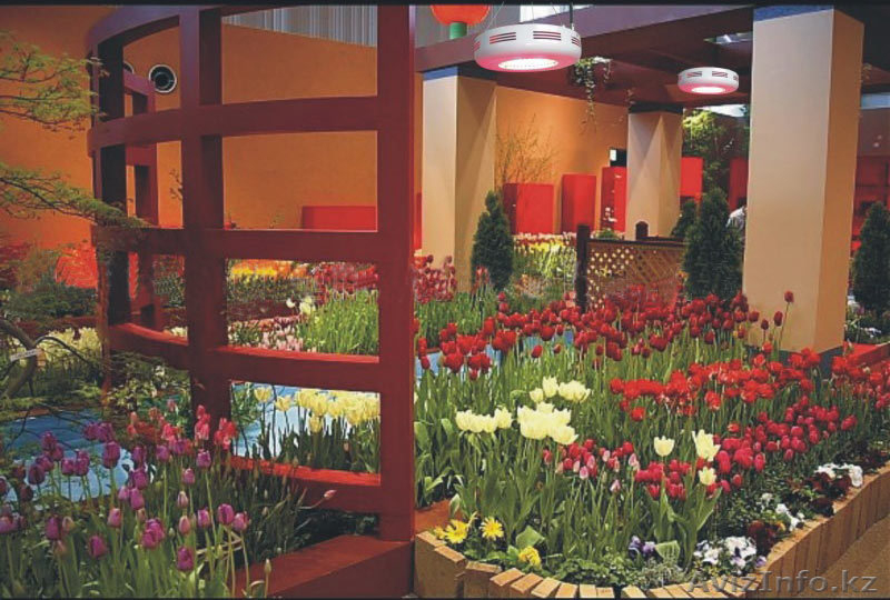 освещение для вегетация растений - Изображение #8, Объявление #203458