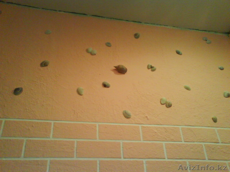 Ремонт квартир,частных домов,офисов - Изображение #1, Объявление #205542