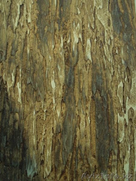 Все виды отделочных работ. - Изображение #3, Объявление #210522