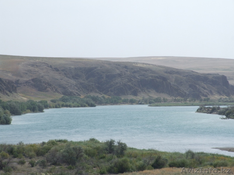 Земля на реке Или - Изображение #2, Объявление #210876