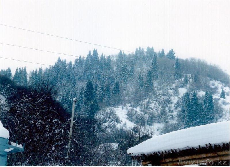 Участок площадью 30 сот - Изображение #9, Объявление #213322