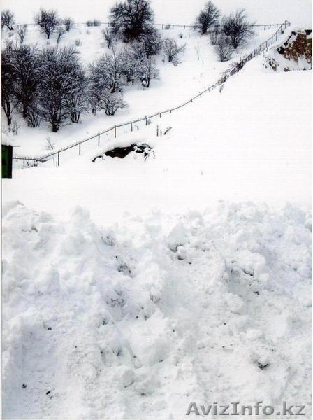 Участок площадью 30 сот - Изображение #10, Объявление #213322