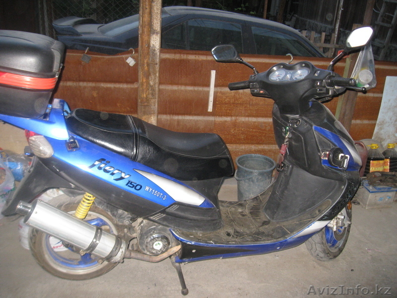 Ратон Феери Карбон - Изображение #3, Объявление #194768